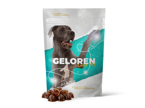 Geloren_Large_Dog_Jelly_Mockup_White-min.png