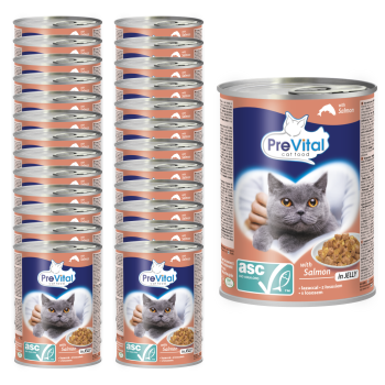 PREVITAL Cat Food Mokra karma dla kota z Łososiem ASC w galaretce 24x415g ZESTAW