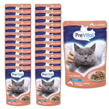 PREVITAL Mokra karma dla kota Łosoś w sosie 24x100g ZESTAW