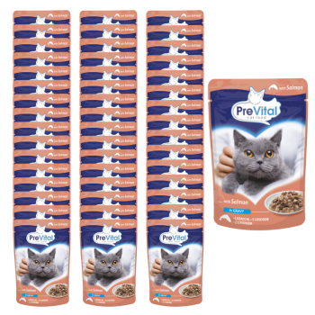 PREVITAL Mokra karma dla kota Łosoś w sosie 48x100g ZESTAW