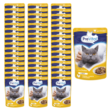 PREVITAL Mokra karma dla kota Kurczak w galaretce 48x100g ZESTAW