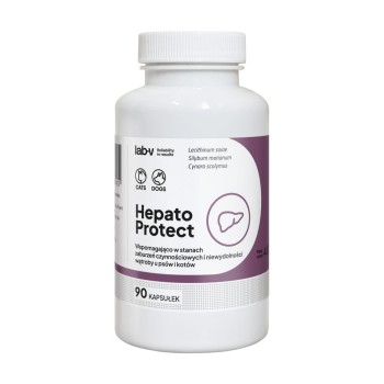 Lab-v Hepato Protect Wspomaganie funkcji wątroby dla psa i kota 90 kaps.