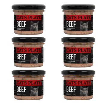 Cats Plate Beef – Karma z Wołowiną dla Kota 6x100g ZESTAW