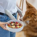 PERRO MIX & MATCH Naturalne przysmaki liofilizowane dla psa Brzoskwinia 15g