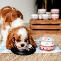PERRO Mono JUNIOR Mokra karma dla szczeniąt Wieprzowina z marchewką 850g