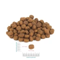 PERRO Sucha karma dla dorosłych psów Wołowina z jagnięciną 1kg