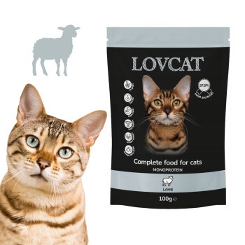 LOVCAT Pure Lamb - Mokra karma dla kota Jagnięcina mono saszetka 100g