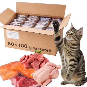 KITEK - Saszetki dla kota - DUŻY BOX - Wołowina, Cielęcina, Kurczak, Łosoś 80 x 100g = 8KG
