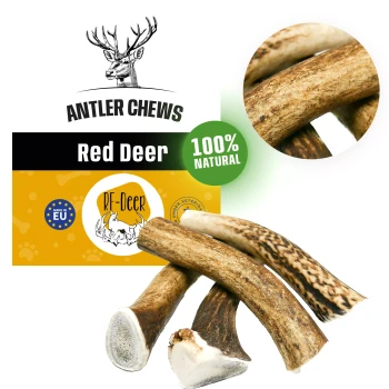 RF-Deer Gryzak naturalny dla psa z poroża Jelenia rozmiar M Hard