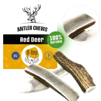 RF-Deer Gryzak naturalny dla psa z poroża Jelenia rozmiar S Soft