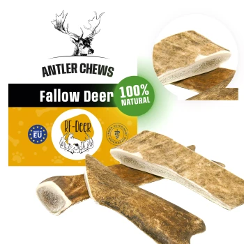 RF-Deer Gryzak naturalny dla psa z poroża Daniela rozmiar XL Soft