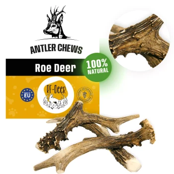 RF-Deer Gryzak naturalny dla psa z poroża Kozła rozmiar L Hard