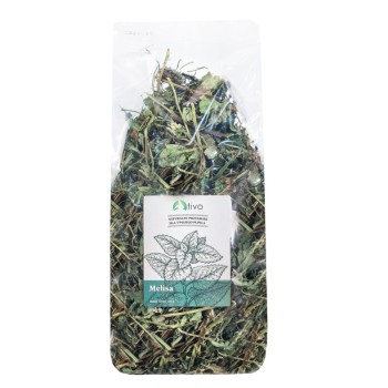 TIVO Melisa dla królików i gryzoni 100g