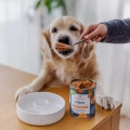 4perro_królik_z_warzywami01.jpg